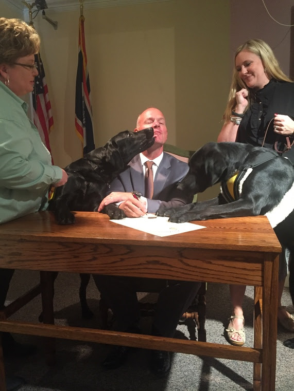Governor Mead signs the proclamation for K9's for Mobility as two black labs put their front paws on the desk, one licking the Governor's face.